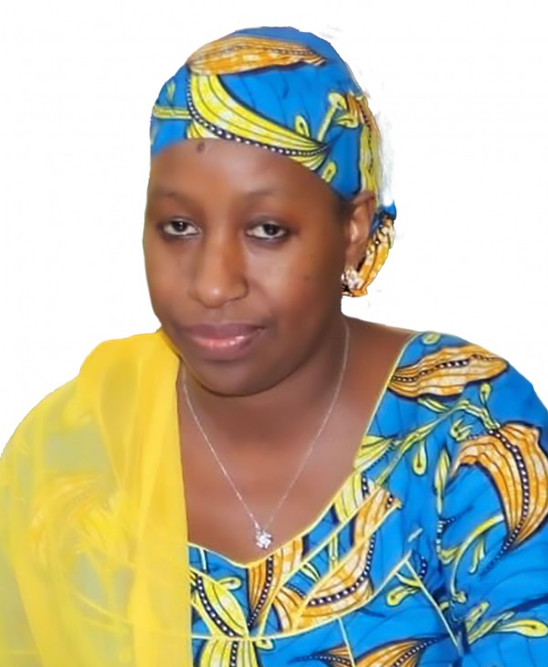 Chef de la Cellule Audit Interne