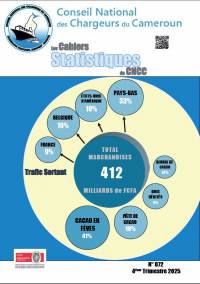 Les Cahiers Statistiques du CNCC No. 72